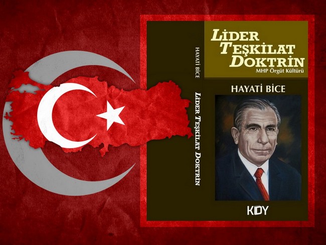 Türk Milliyetçiliği, Siyaset ve Aydınlar